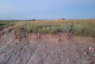 Dry, cracked earth in the foreground with a grassy field and clear sky in the background.