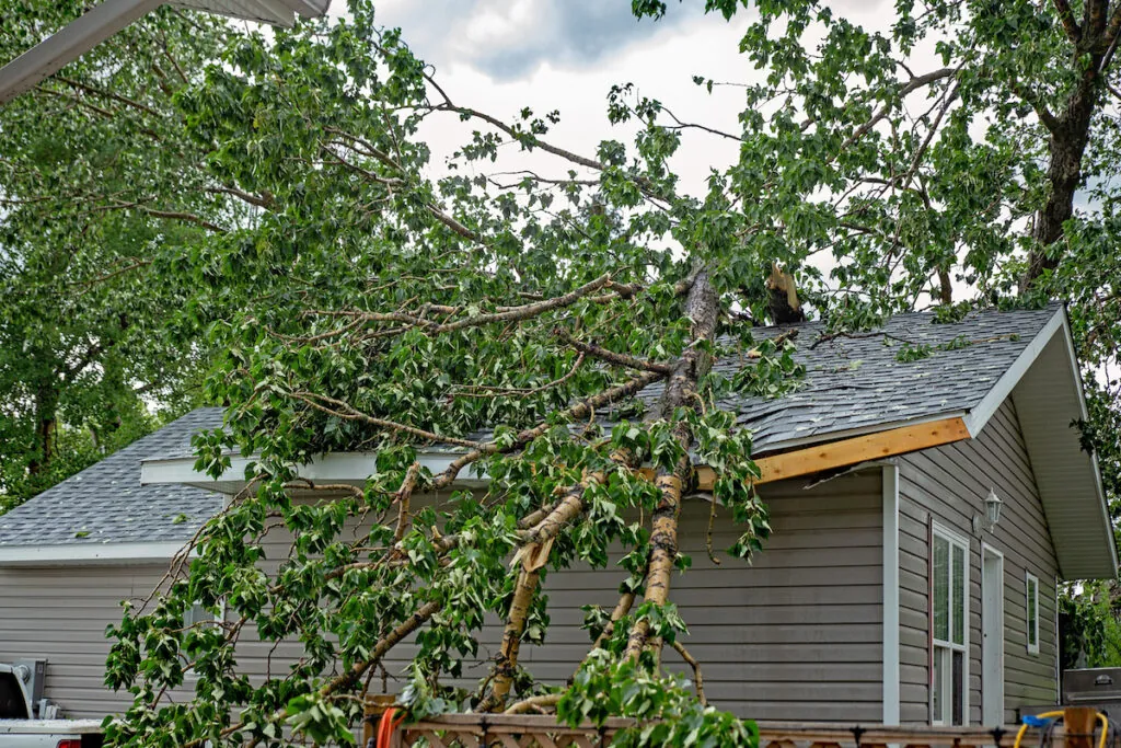 A tree fallen on house causing structural damage