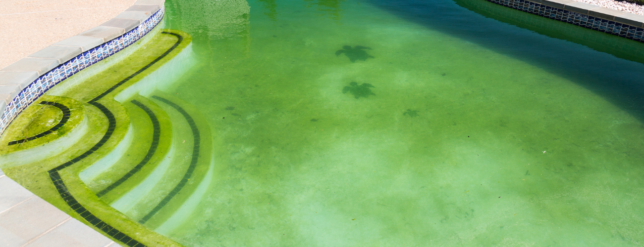 Large pool with green bottom due to recurring pool algae.