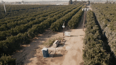 Gif of a video of a man in a field