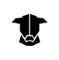 Goonoo Goonoo Station logo