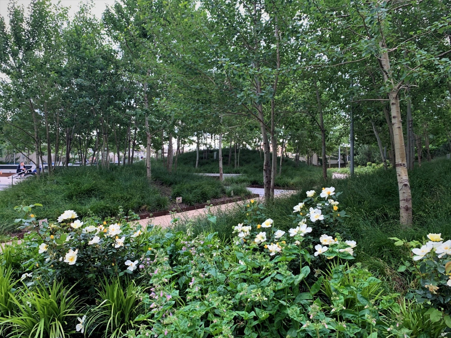 Landscape at Jackson Park by HMWhite
