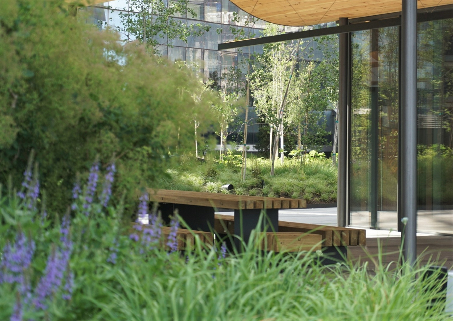 Landscape at JACX Commons by HMWhite