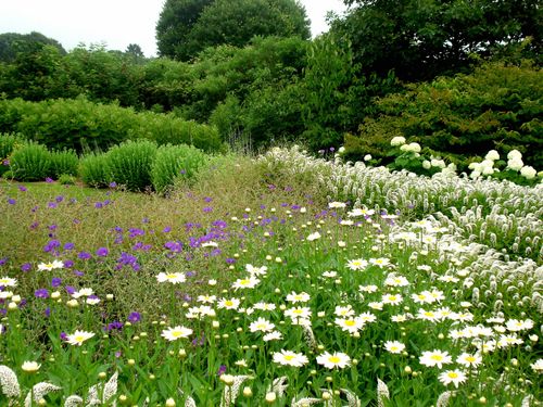 Landscape at Shelter Harbor Point by HMWhite