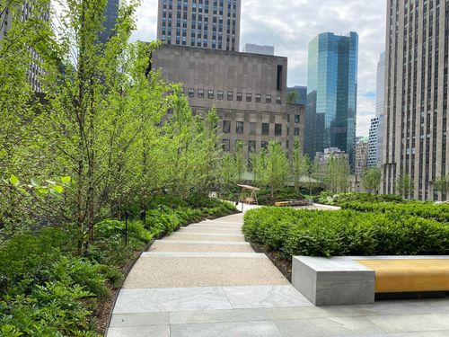 Landscape at Radio Park by HMWhite