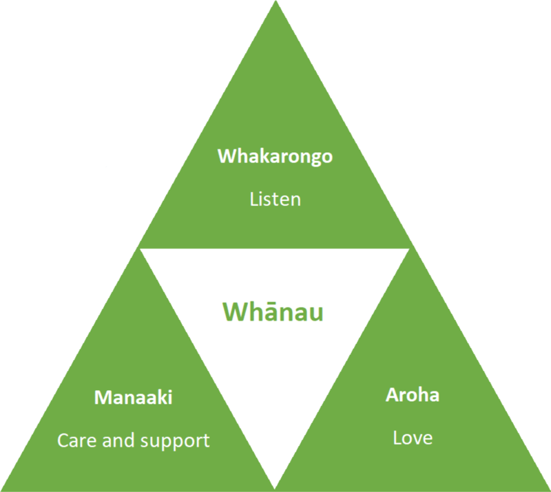 This design above is called a Niho Taniwha. The model has been provided by Denise Tahuri.