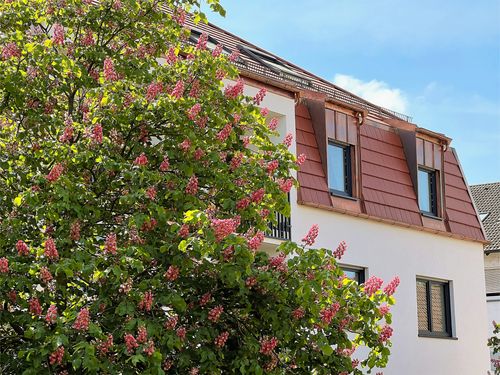 Exklusive 4 ZKB-Wohnung mit offener EBK in Innenstadtlage Hockenheim zu vermieten