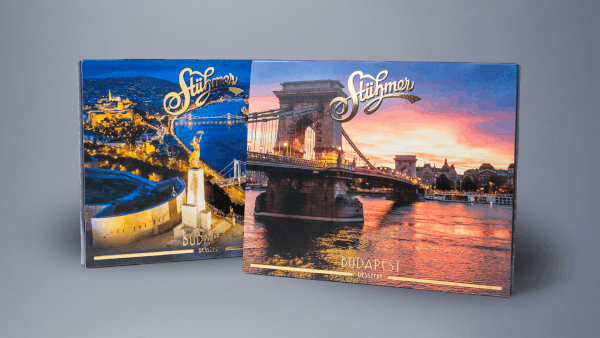 Flowstorm: Xlinq Webflow Website development