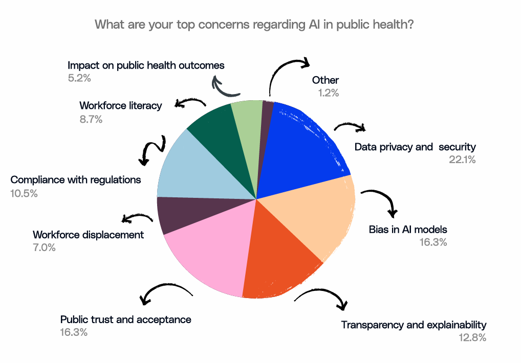 what are your top concerns ragarding ai in public heath