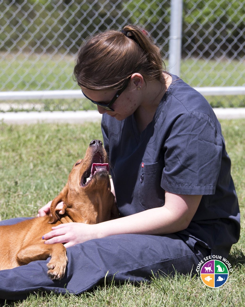 Technician in scrubs sitting on the grass with a smiling dog
