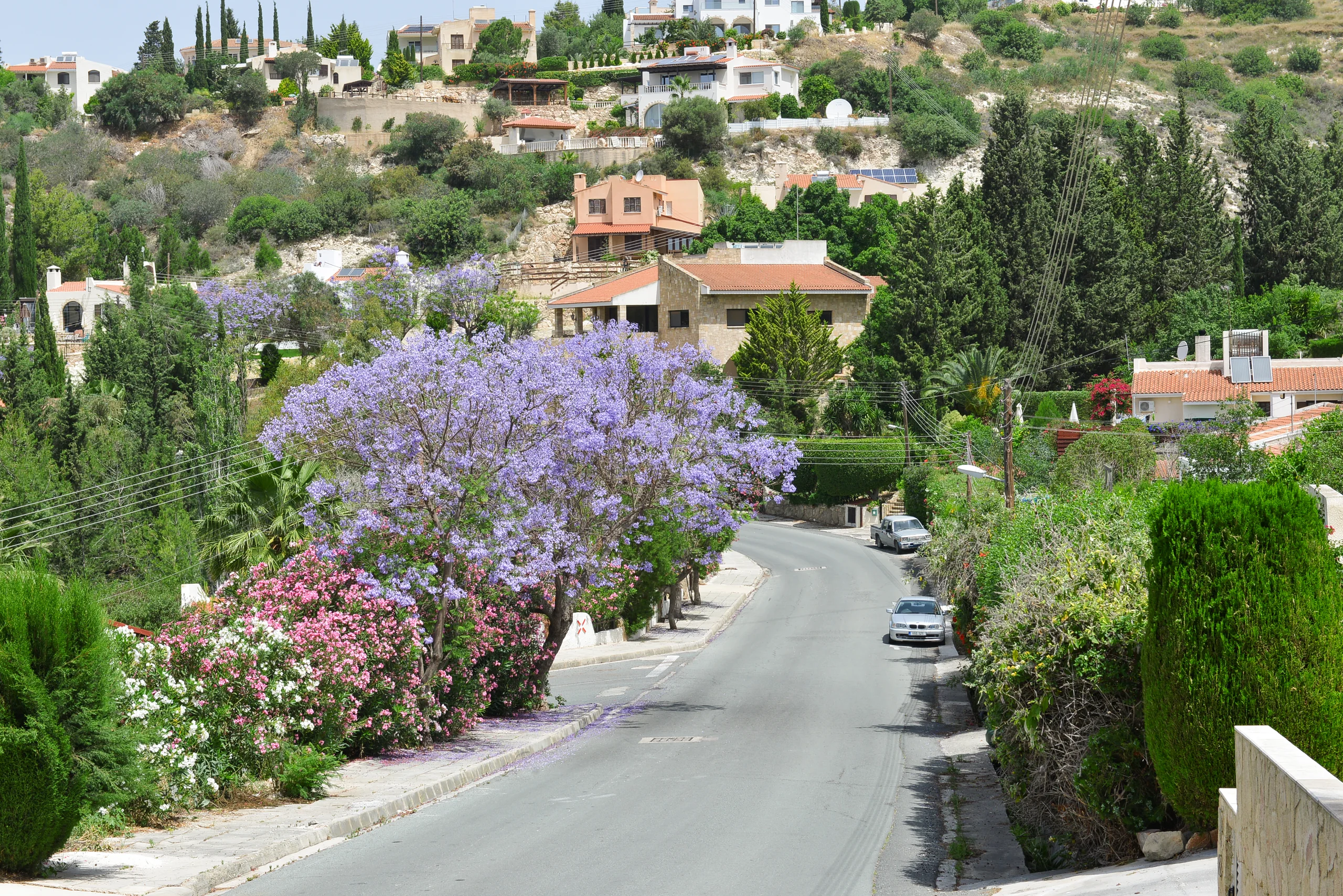 Kamares Village – 3-bedroom villa in Kamares, Paphos, Cyprus, with a swimming pool (photo 15 of 16)