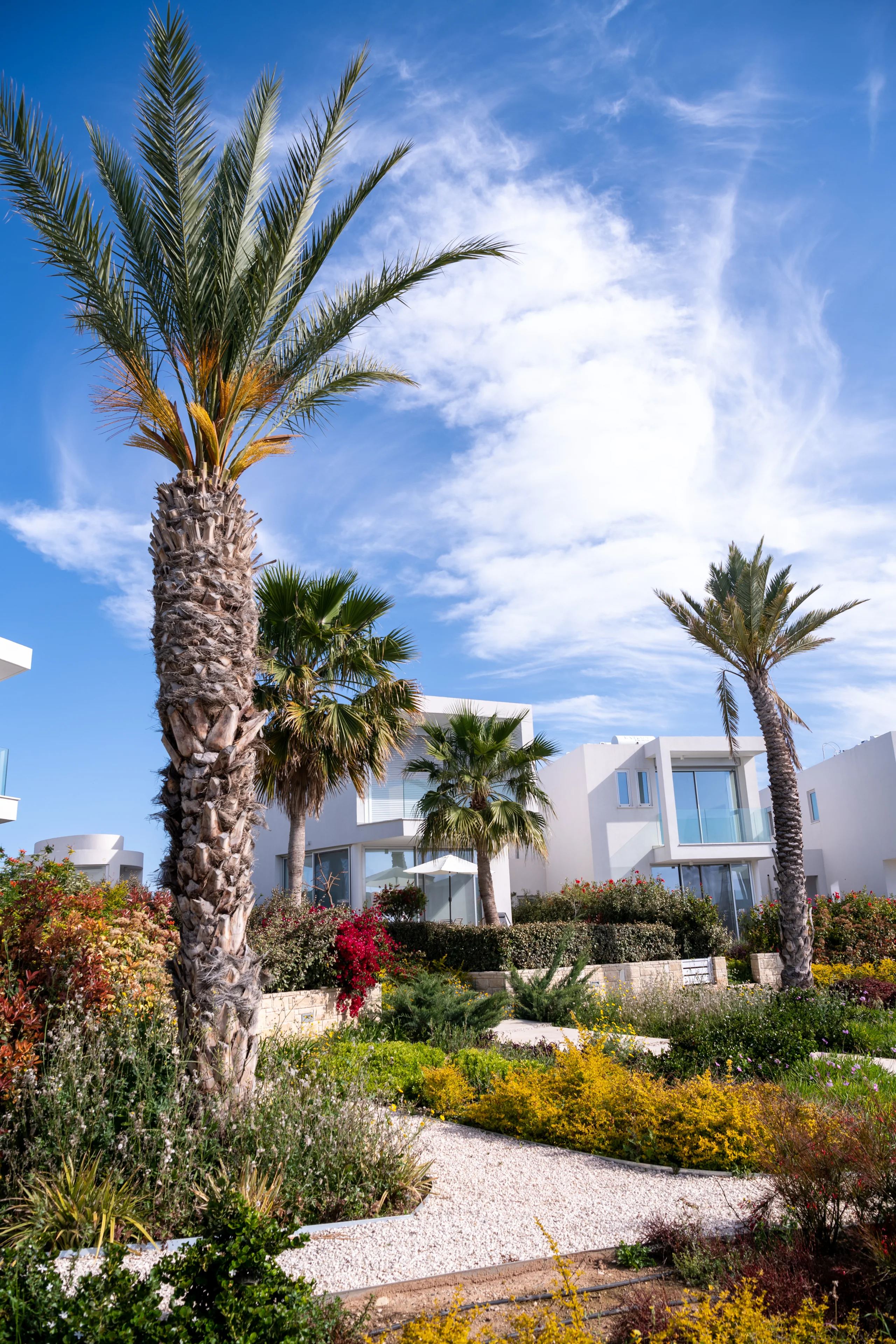 Coral Seas Villas – 7-bedroom villa in Coral Bay, Paphos, Cyprus, with fully furnished interiors (photo 14 of 34)