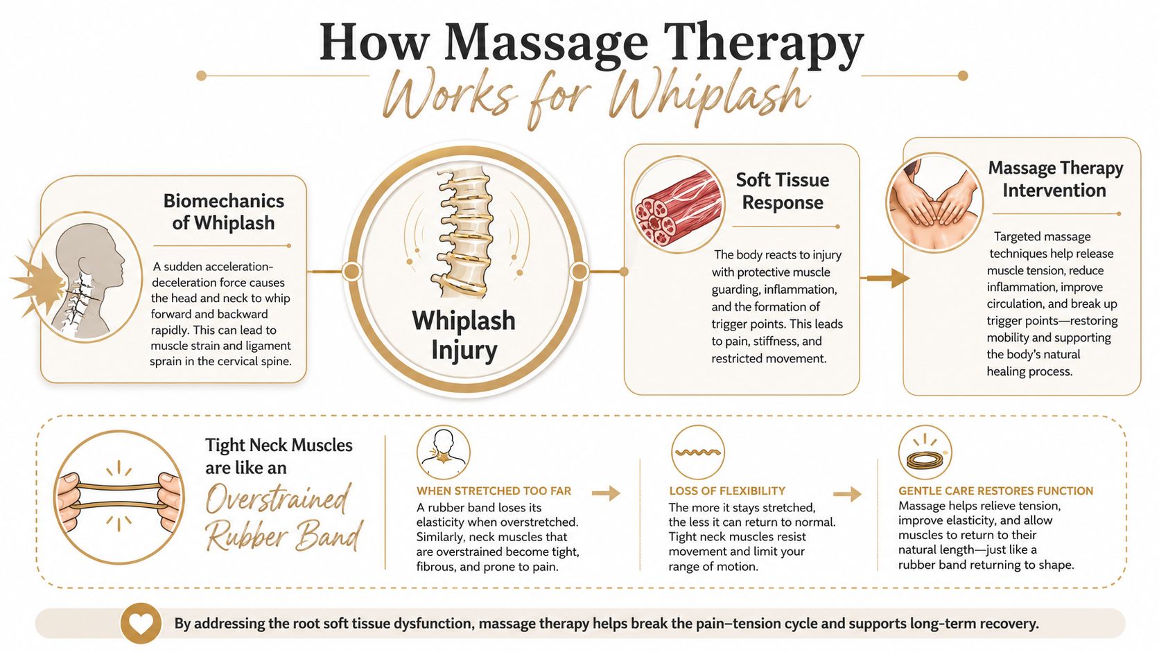 An infographic explaining how massage therapy helps treat whiplash by addressing soft tissue response and muscle tension.