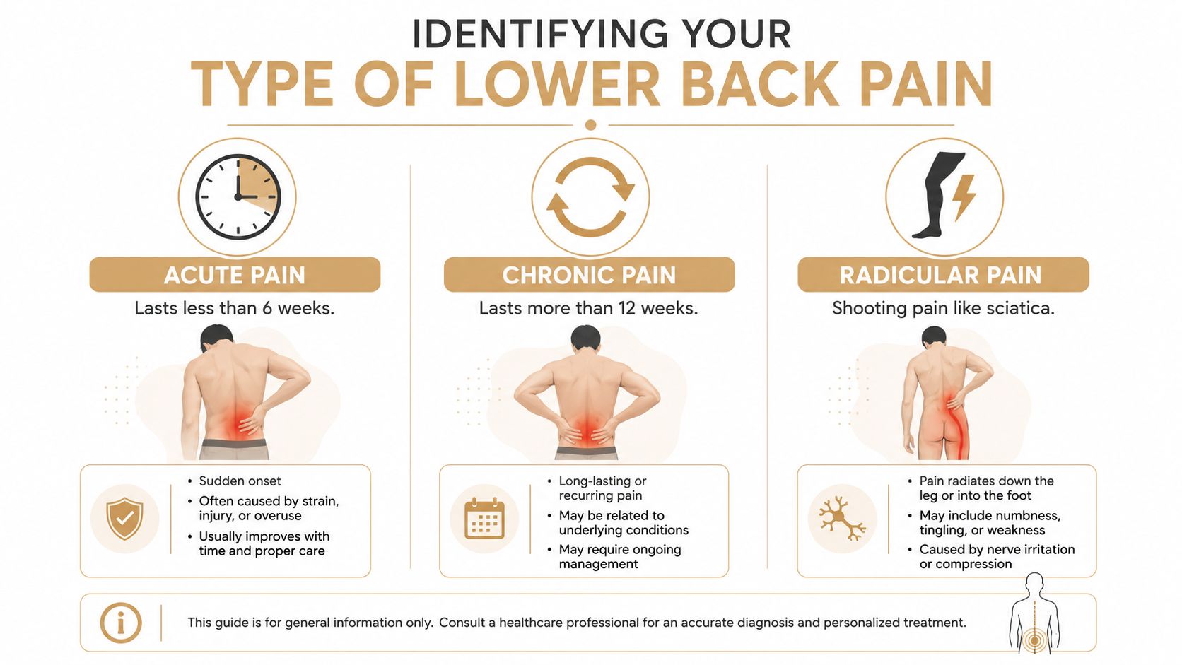 An infographic showing the three main types of lower back pain including acute, chronic, and radicular pain.