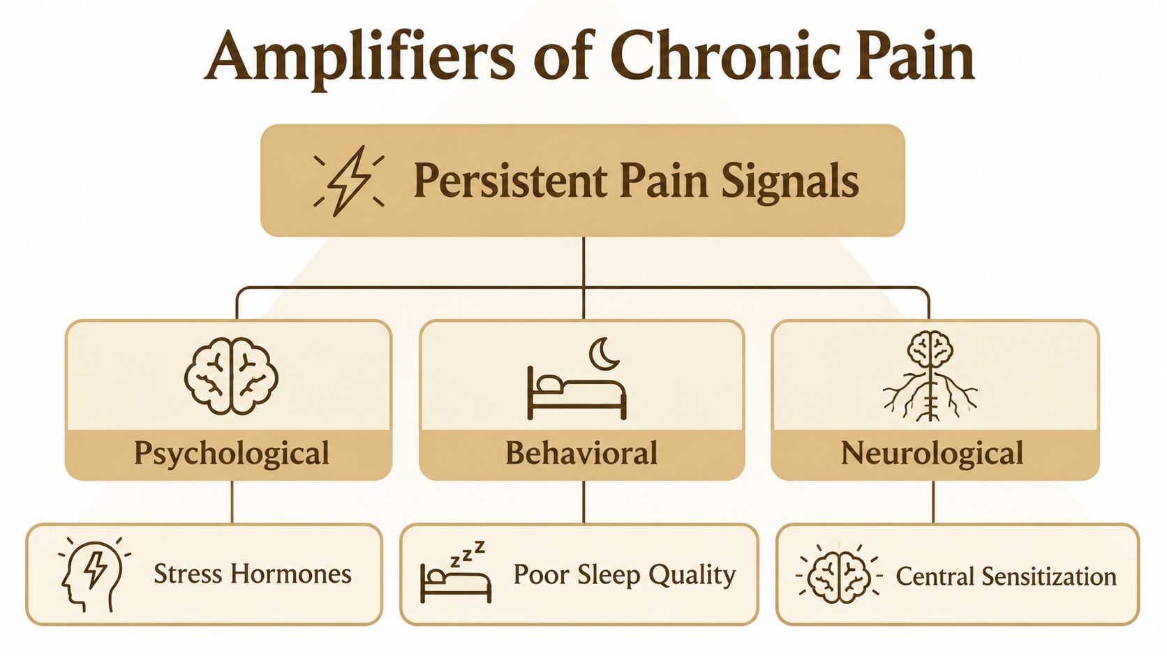 A diagram illustrating the amplifiers of chronic pain, including psychological, behavioral, and neurological contributing factors.
