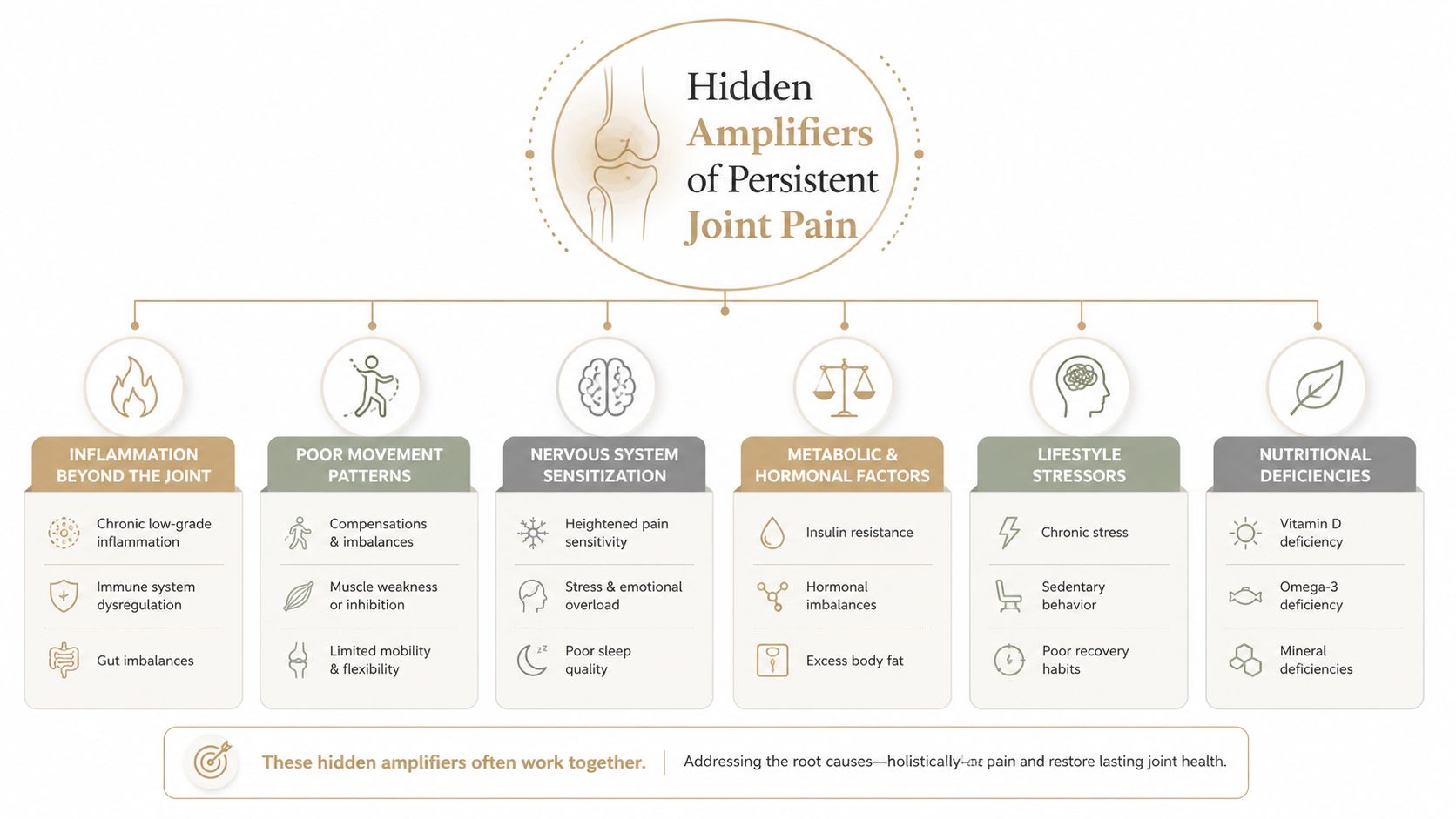 A diagram illustrating the various hidden amplifiers of persistent joint pain and their contributing health factors.