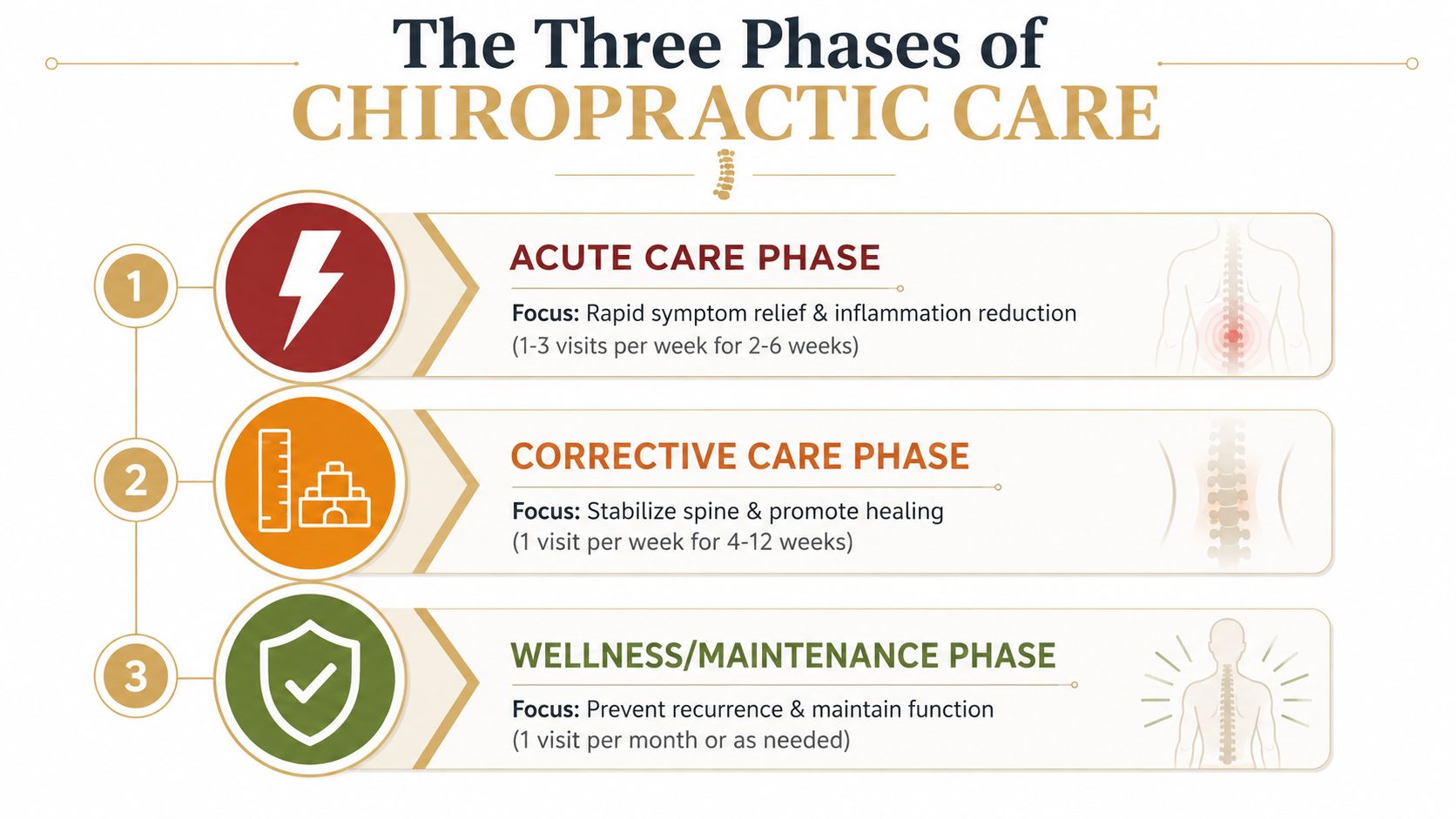 An infographic titled The Three Phases of Chiropractic Care, outlining acute, corrective, and wellness treatment stages.