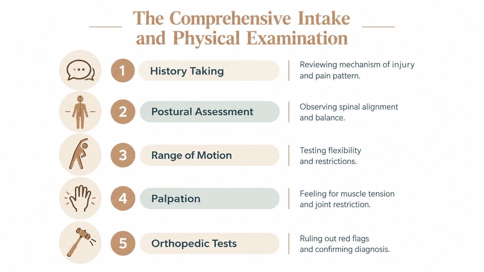 A five-step infographic detailing the components of a comprehensive chiropractic intake and physical examination process.