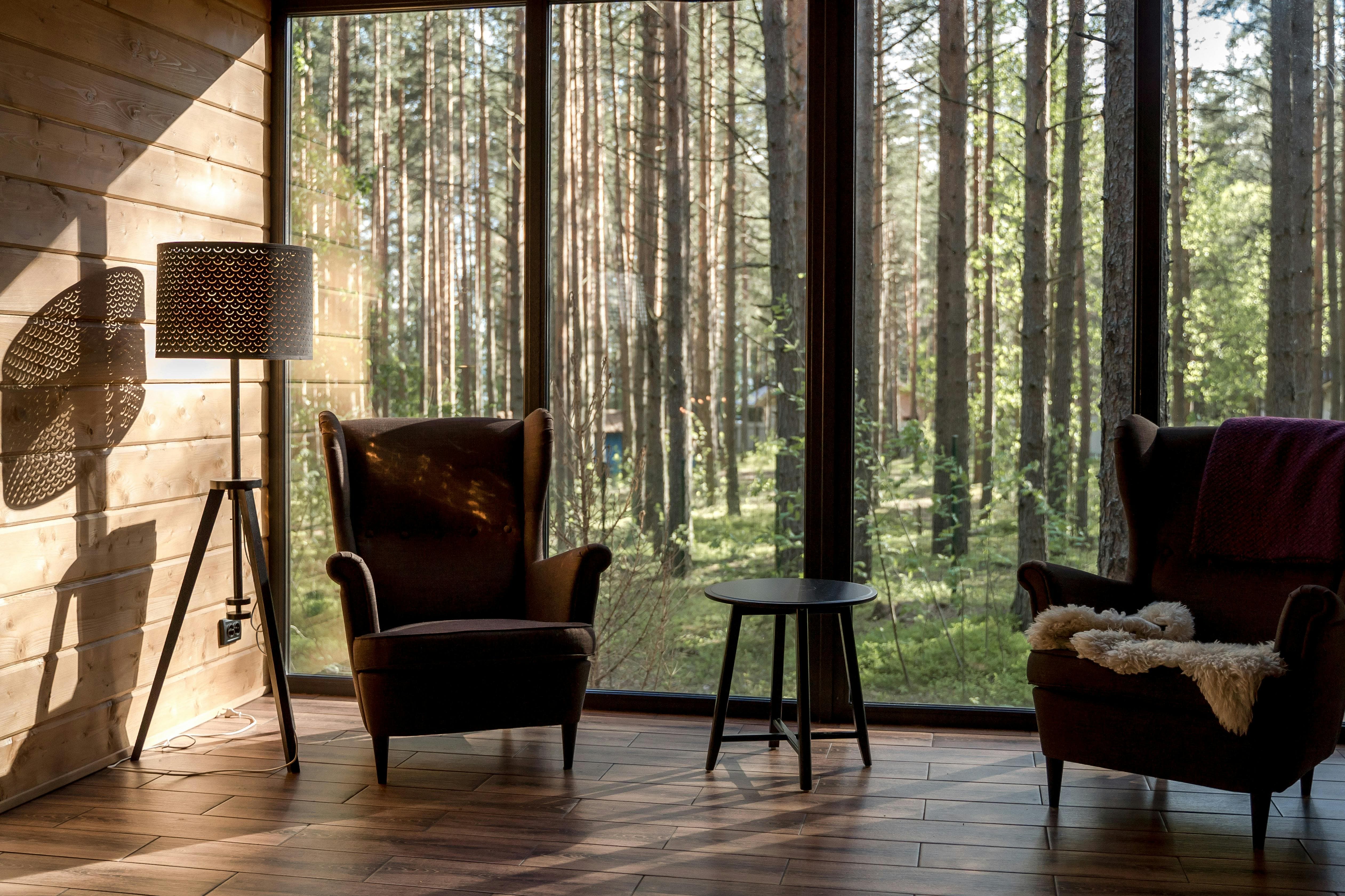 Vacation living room design with forest view