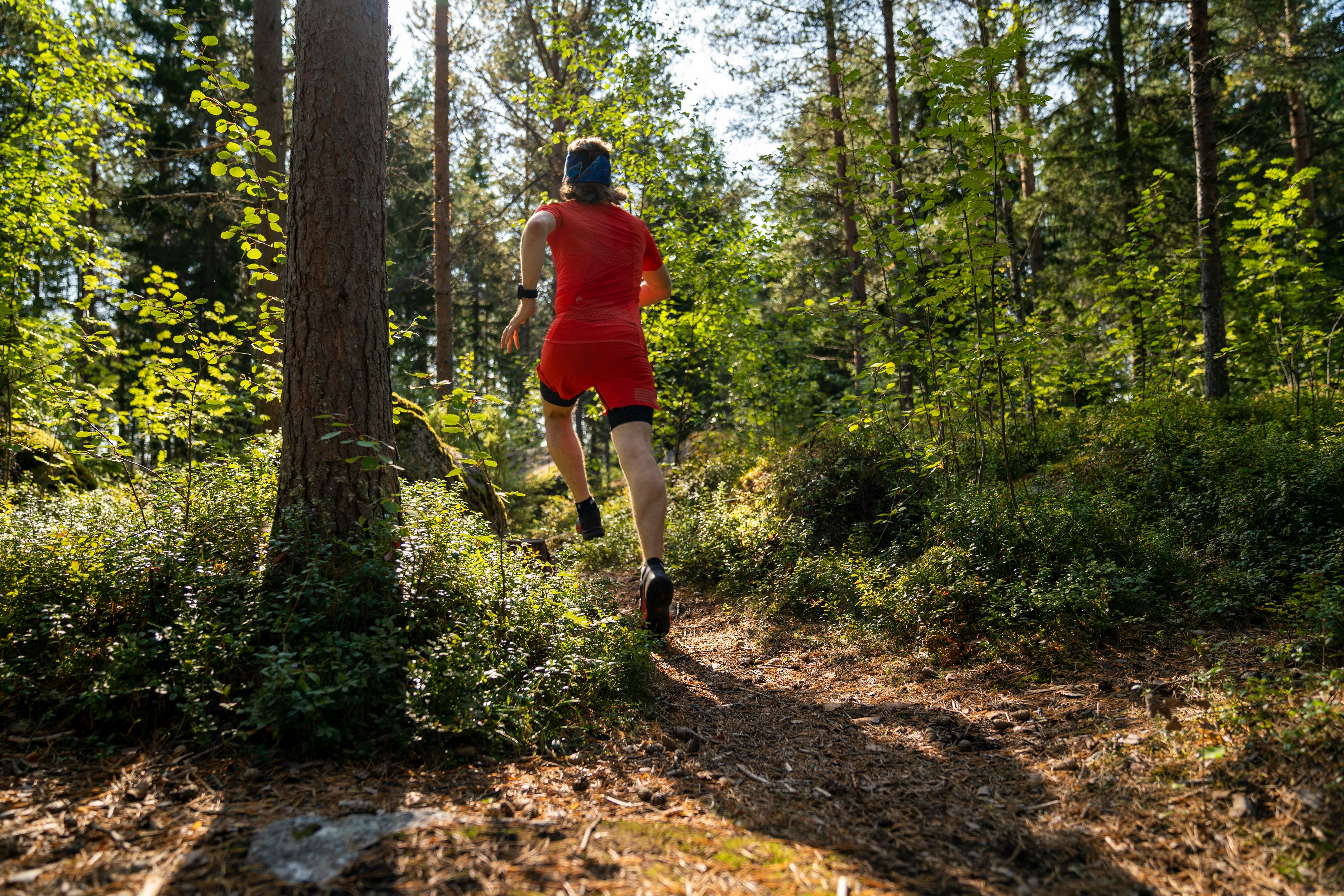 Athlète en course en sentier dans la forêt de Mont-Tremblant pendant un entraînement
