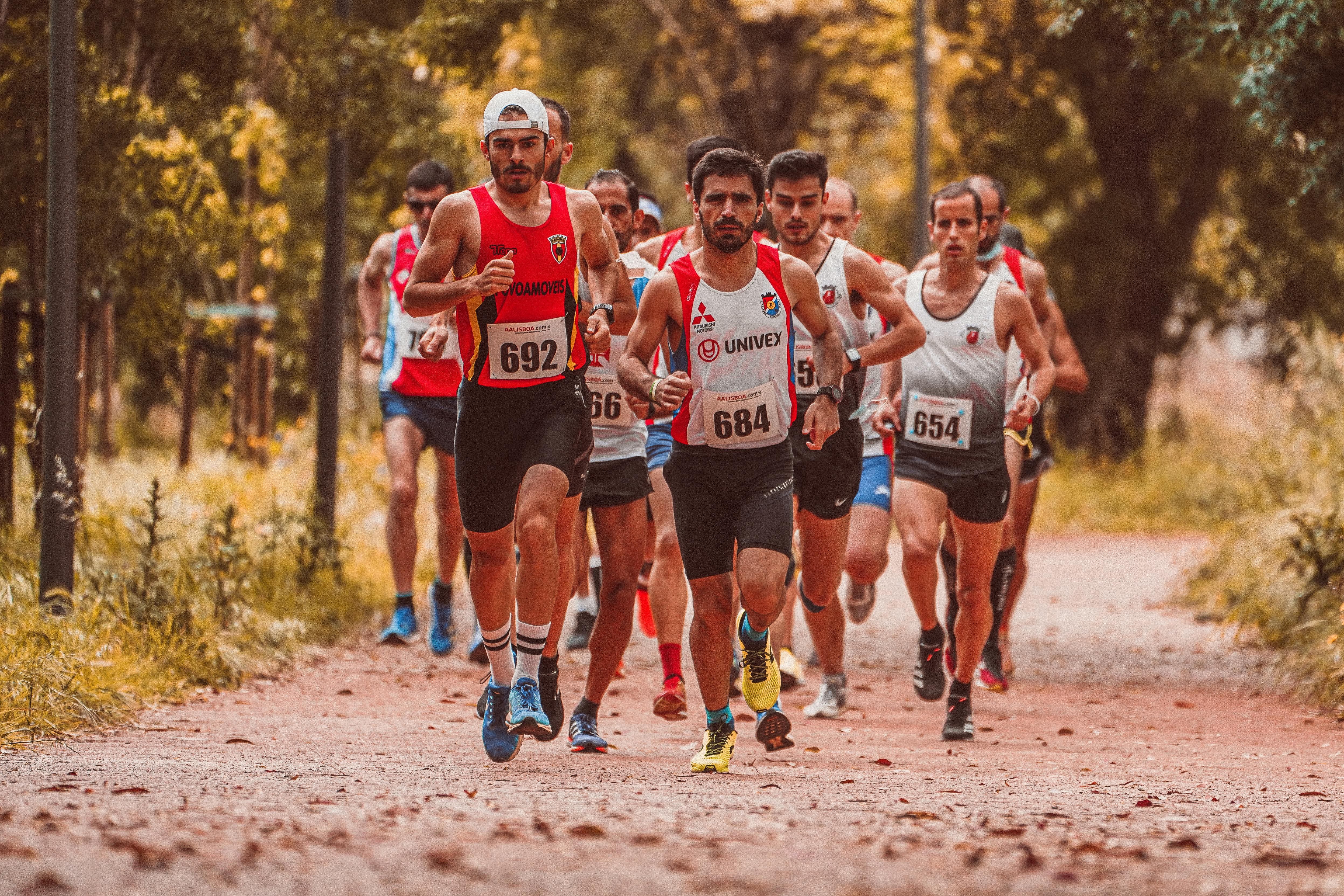 Trail run in Mont-Tremblant UTMB