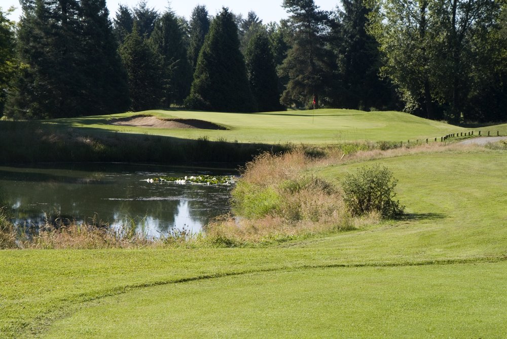 Carnoustie Golf Club (BC) Honest Review - 2025