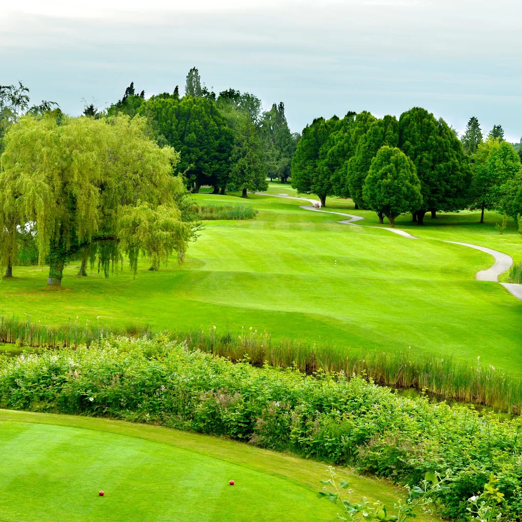 Best Public Golf Courses in Vancouver for Beginners 2025