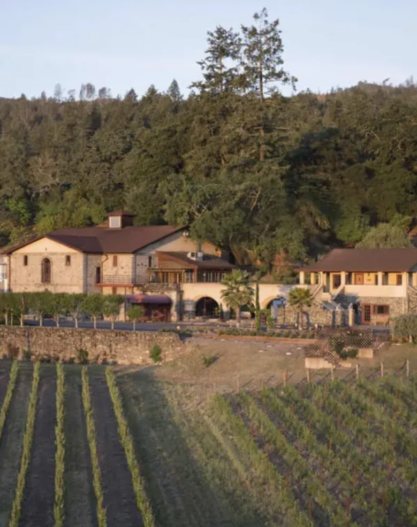 Rancho Caymus Vineyards