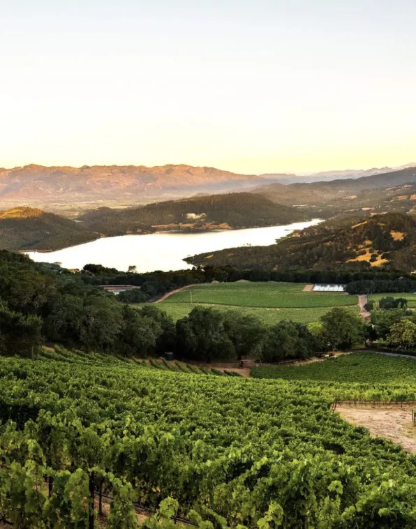Rancho Caymus Aerial view of vineyards