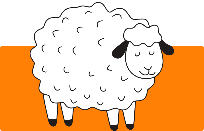 sheep illustration