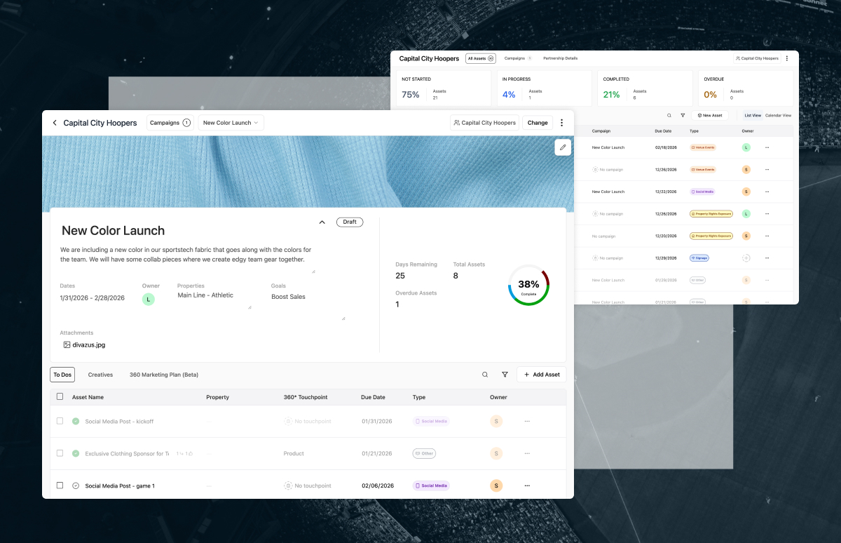 Project management dashboard showing 'New Color Launch' campaign details, including progress at 38%, deadlines, asset ownership, and tasks such as social media posts and sponsorships.