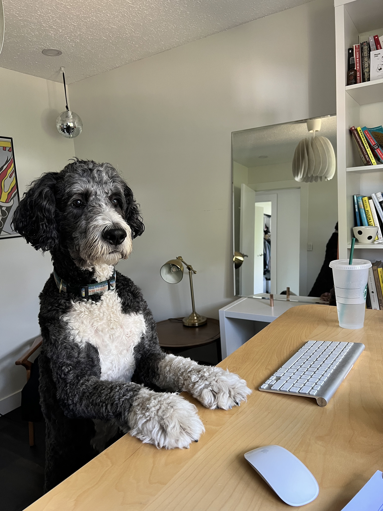 Invoke team members collaborating in a modern office setting.​