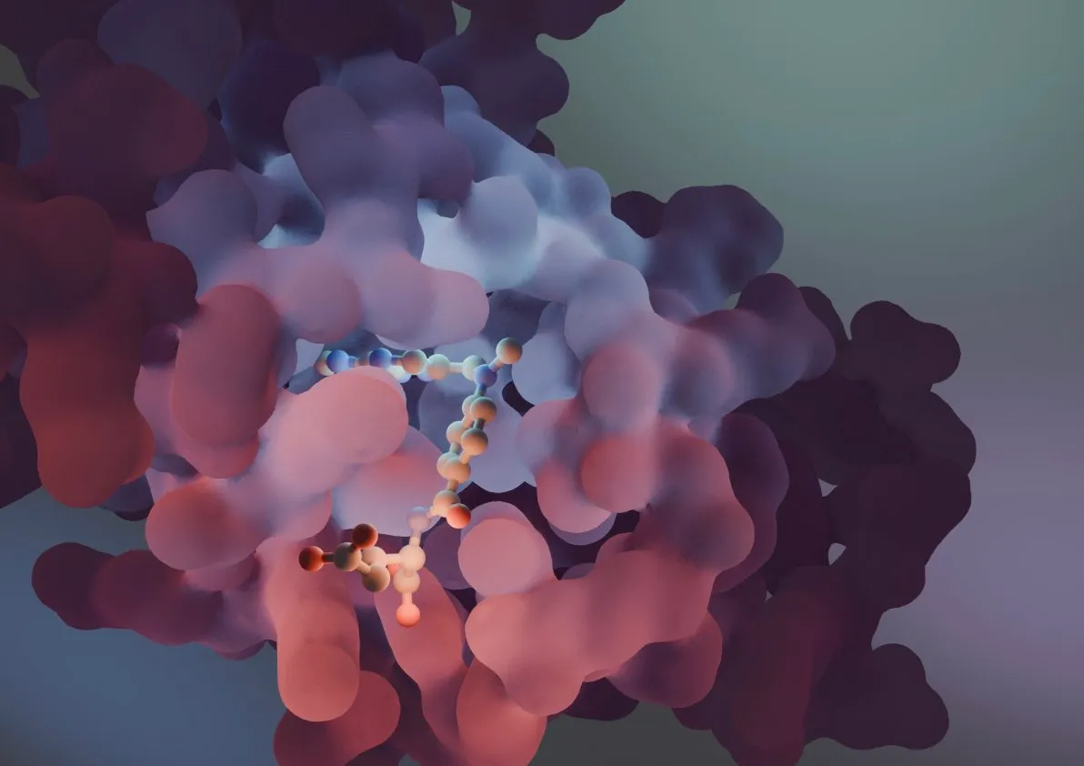 July 2025 Newsletter