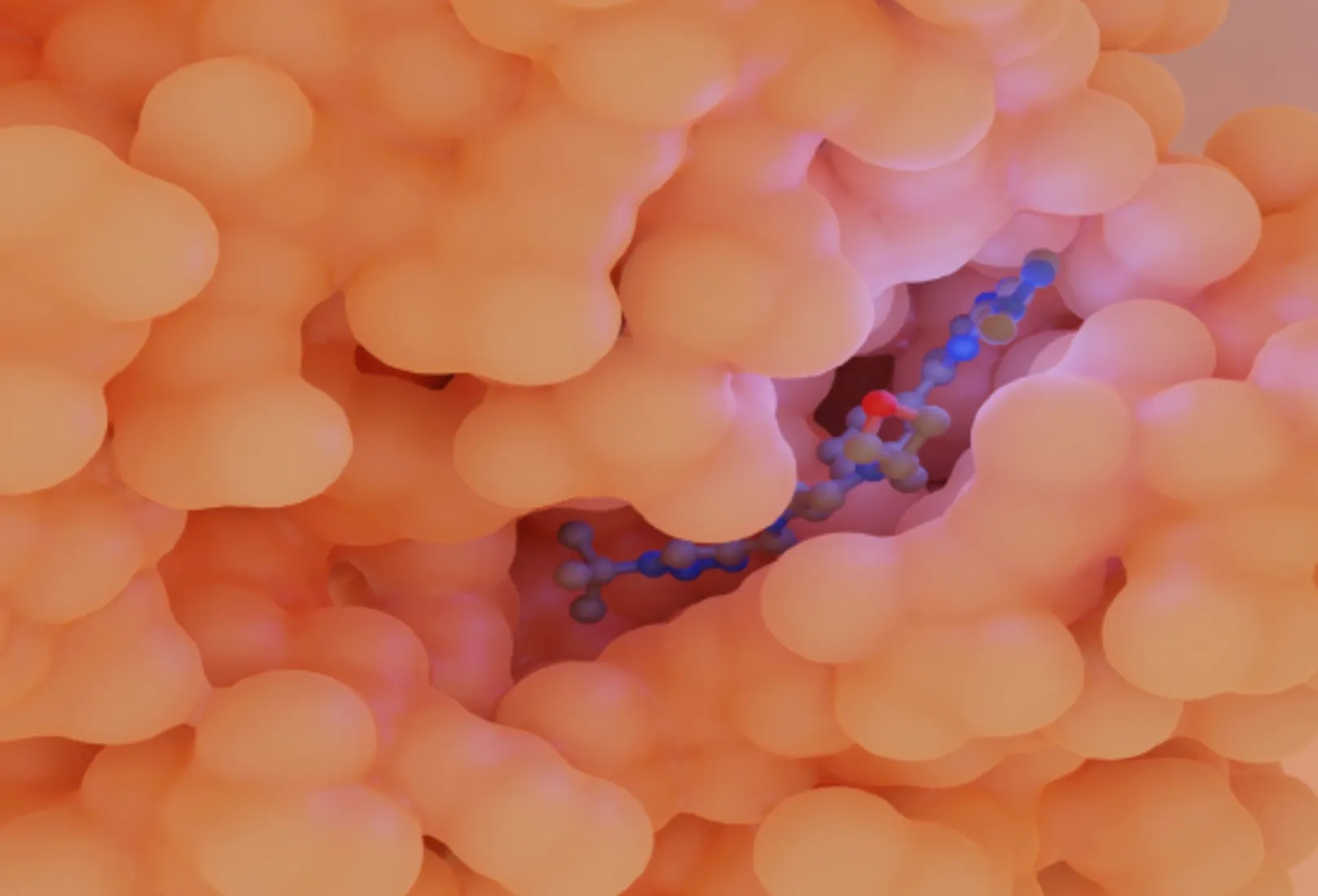 August 2025 Newsletter