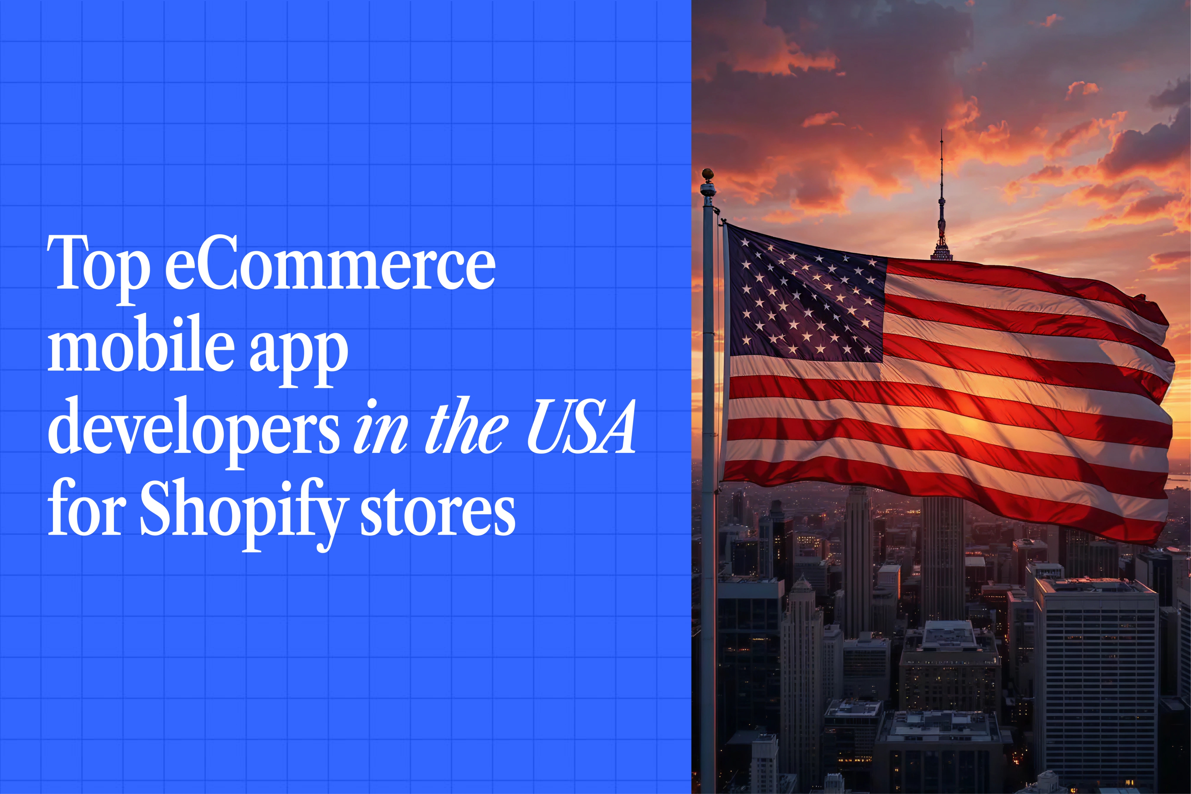 united states ecommerce app developer