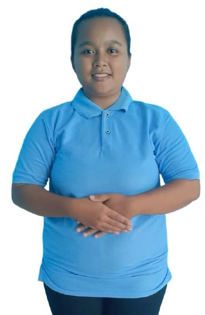 Nur Aulia