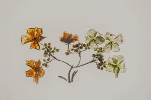 The Future of UI/UX Design: Trends to Watch in 2024