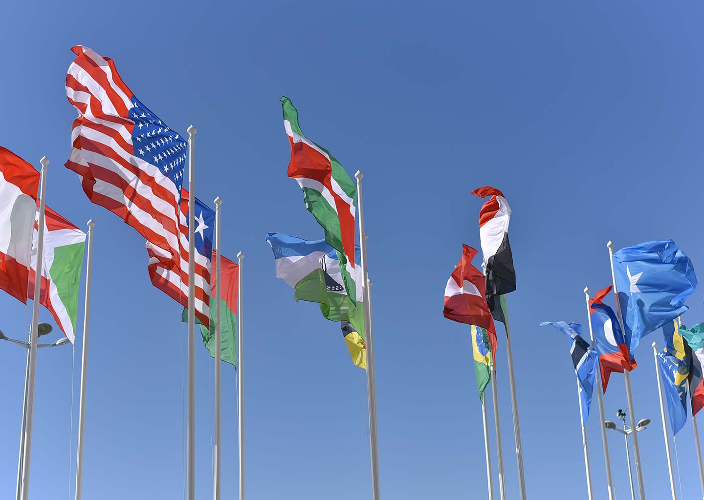 Multiple flag poles display country flags billowing against a blue sky