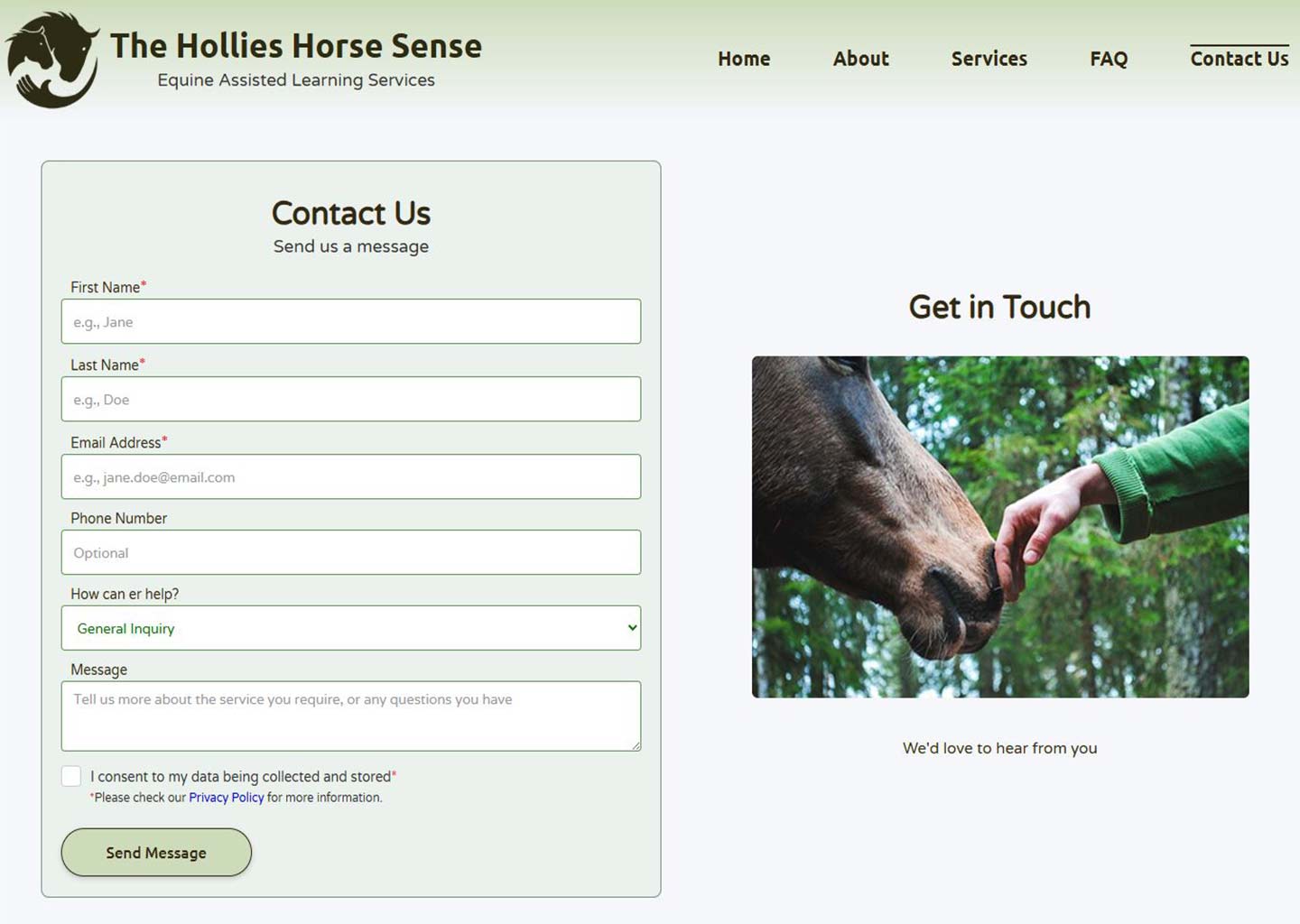 A Contact form on the left side, a close up picture of a horse and human hand on the left side