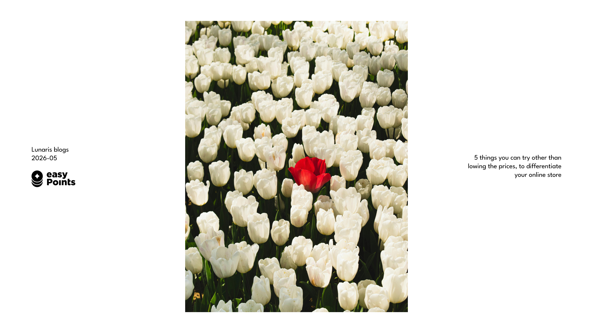 Blog post image