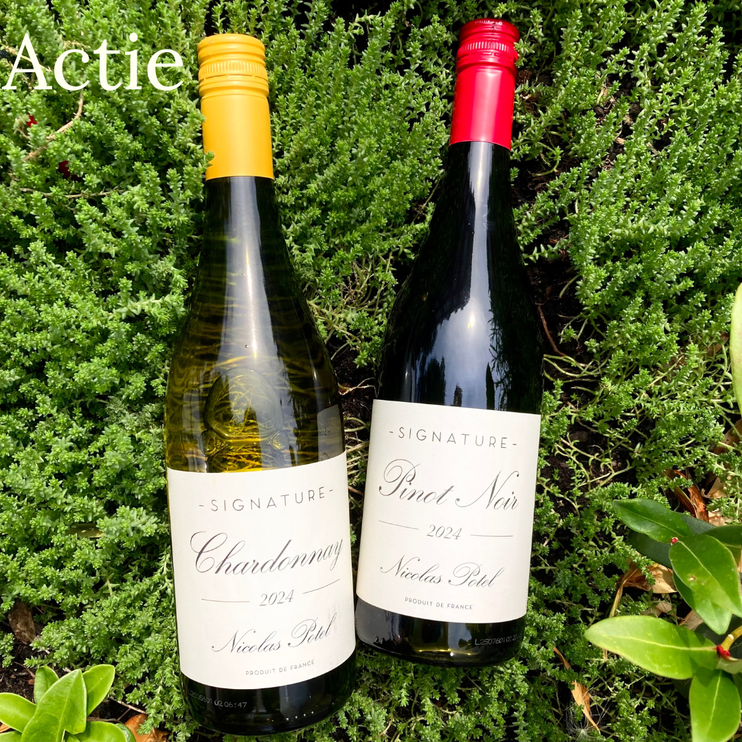 Actie Juli Jordan Chenin Blanc