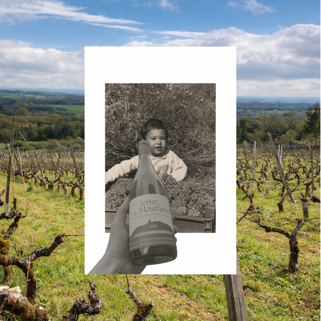 Actie Juli Jordan Chenin Blanc