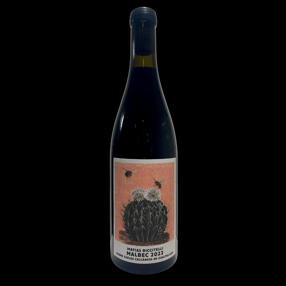 Matías Riccitelli Sobre Suelos Calcáreos De Gualtallary Malbec 2022