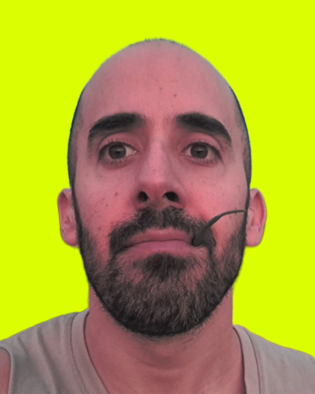 Dotan Reis, Software Engineer