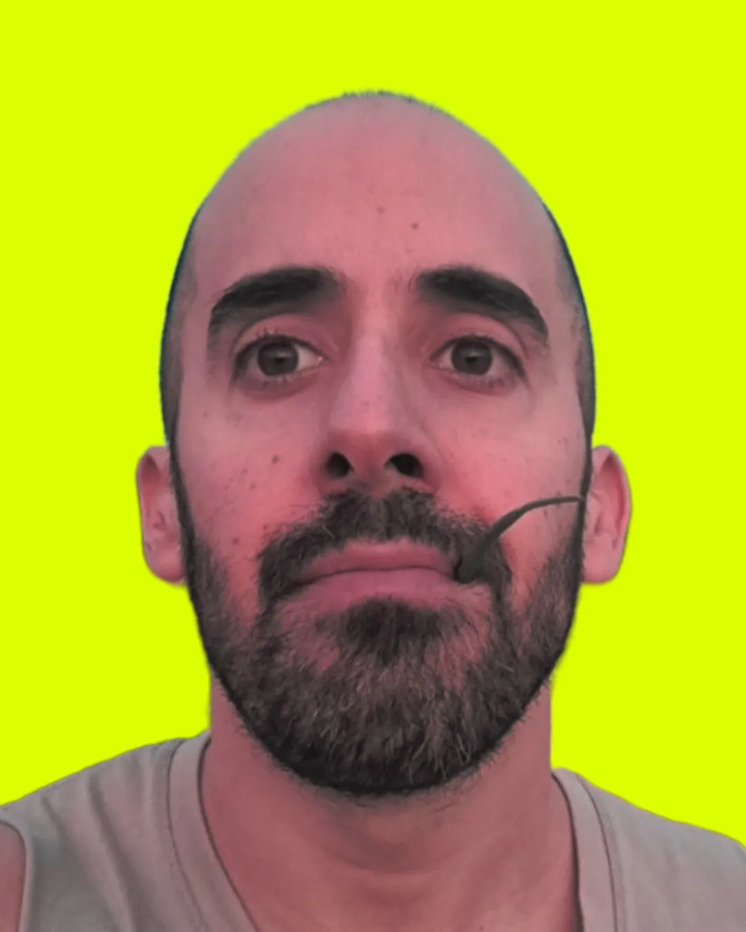 Dotan Reis, Software Engineer