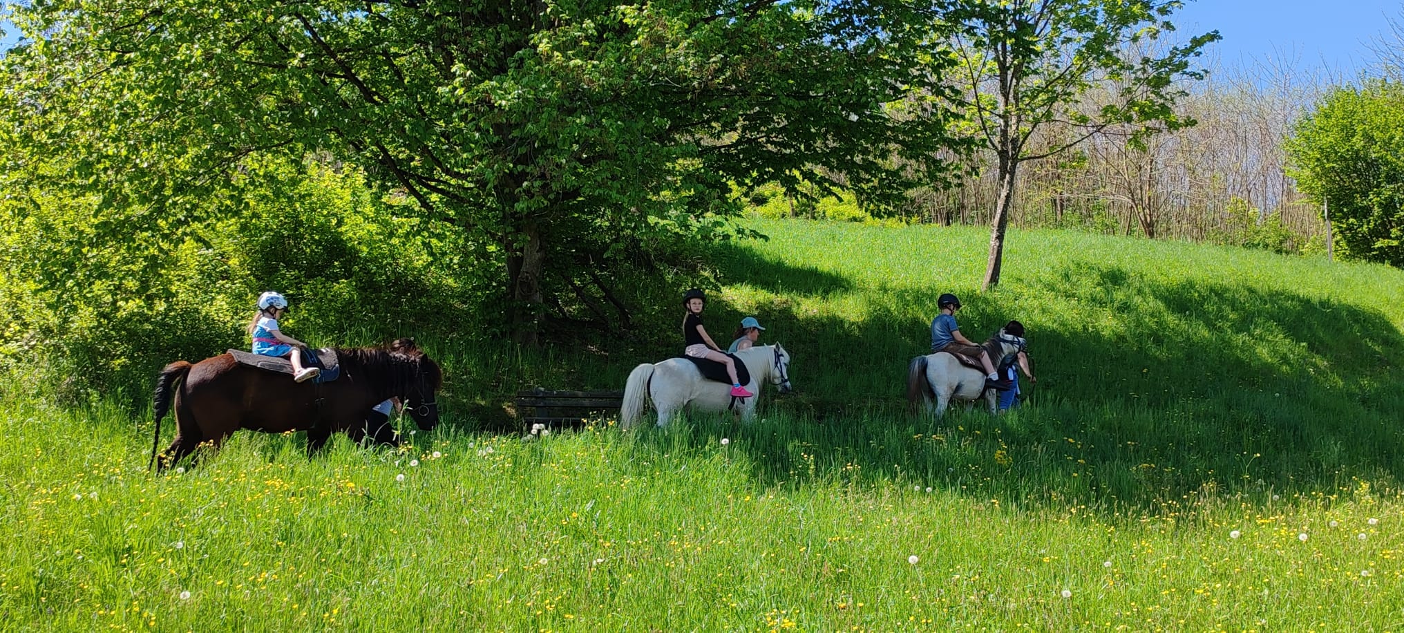 1.Maifest in Moosburg