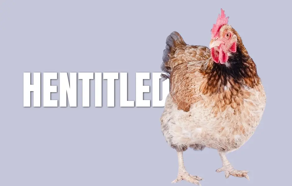 Hentitled 2