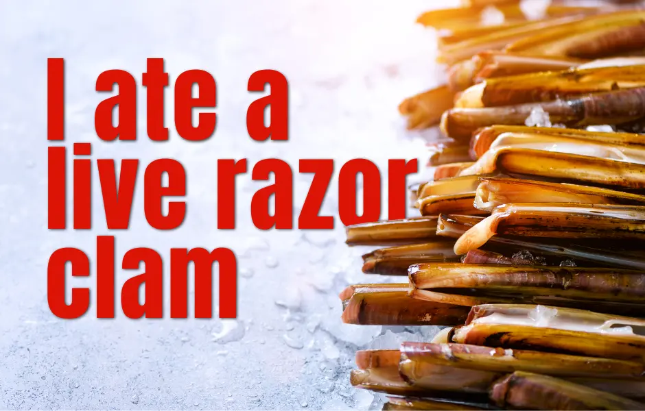 I ate a live razor clam
