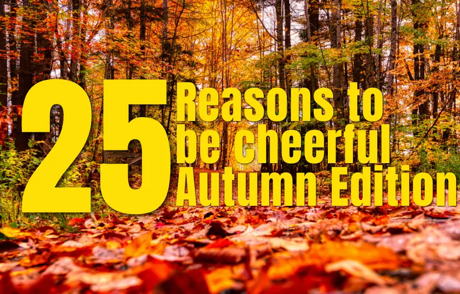 25 Reasons to Be Cheerful – Autumn Edition