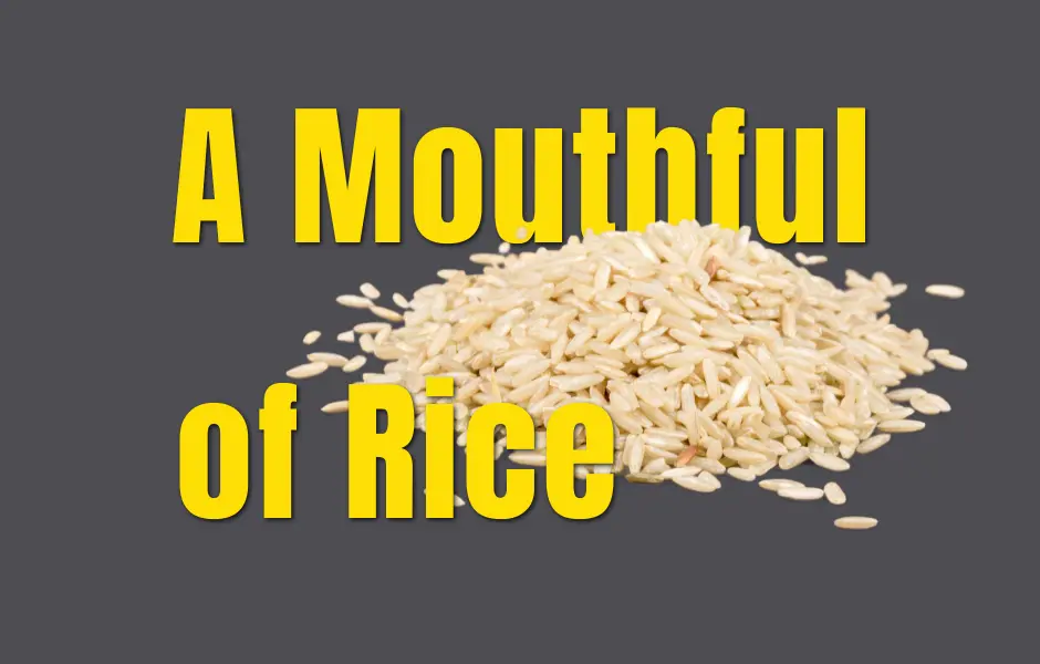 A Mouthful of Rice